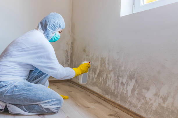 Best Crawl Space Mold Removal  in Paramus, NJ