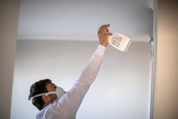 Best Certified Mold Removal  in Paramus, NJ