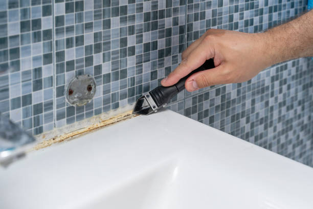 Certified Mold Removal in Paramus, NJ